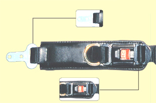 ccs_hi_1.jpg (35130 bytes)